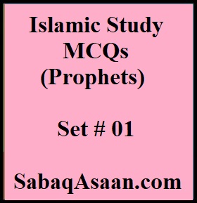 Islamic Study MCQs / Islamic History MCQs for CSS, PMS, PSP, IPS, IAS, FPSC, KPPSC, PPSC, SPSC, BPSC, ETEA, NTS, PST, CT, SST, PET, DM, EST, TGT, Lecturer Islamiyat.