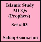 Islamic Study MCQs / Islamic History MCQs for CSS, PMS, PSP, IPS, IAS, FPSC, KPPSC, PPSC, SPSC, BPSC, ETEA, NTS, PST, CT, SST, PET, DM, EST, TGT, Lecturer Islamiyat |Prophets of Allah|