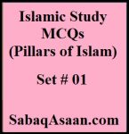 Islamic Study MCQs / Pillars of Islam MCQs for CSS, PMS, PSP, IPS, IAS, FPSC MCQS, KPPSC MCQS, PPSC, SPSC, BPSC, SST, SS Islamiyat, Lecturer Islamiyat, CT, PST, DM, PET, TT, AT, EST, TGT, Headmaster, Vice Principal.