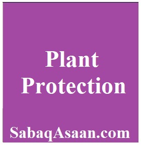 Plant Protection MCQs for preparation of Agriculture Officer, Field Assistant, Assistant Director, Agriculture Supervisor, on PPSC, ETEA, KPPSC, SPSC, BPSC, NTS, OTS.